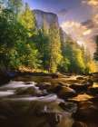 Merced River flows through Yosemite National Park in California Art Print